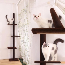 Árbol para gatos extensible de más de 2 metros