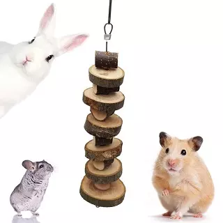 Juguetes para roedores  Accesorios para roedores