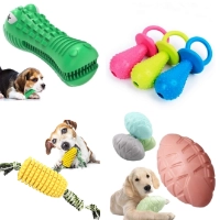 Qué debes saber de los juguetes olfativos para perros?